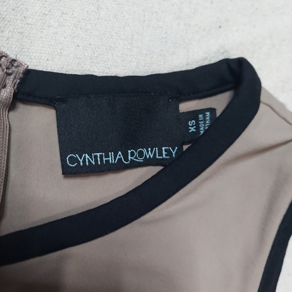 Cynthia Rowley sheath dress XS sleeveless taupe black colorblock stretch nylon - Picture 3 of 9